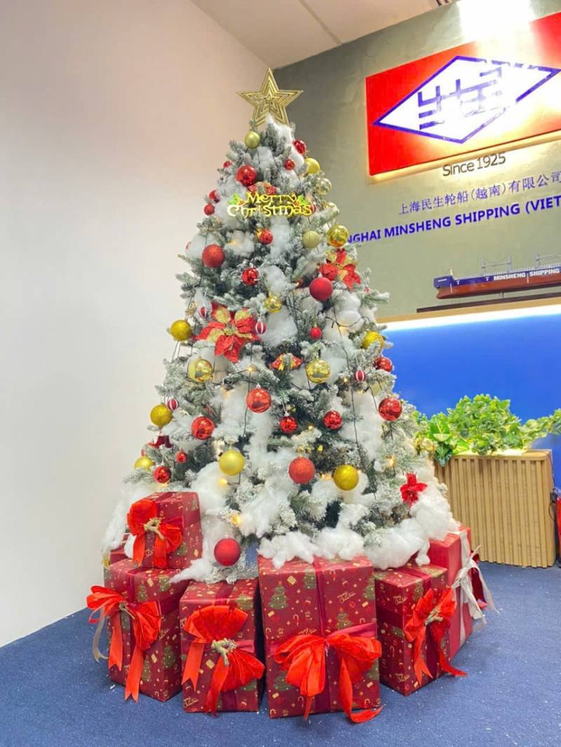 Báo Giá Trang Trí Cây Thông Noel Tại Quận 5. Ảnh 2